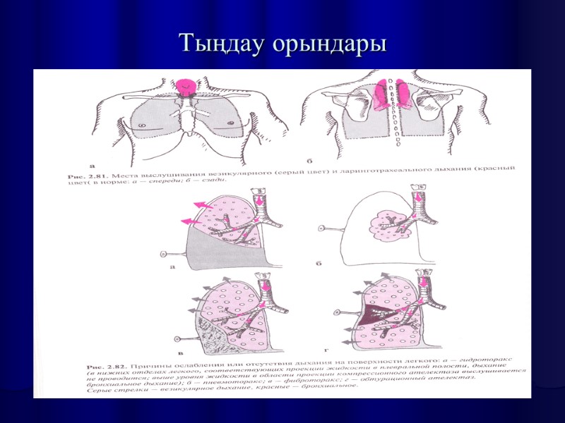 Тыңдау орындары